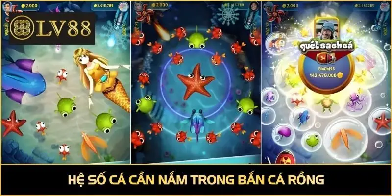 Hệ số cá cần nắm trong bắn cá rồng