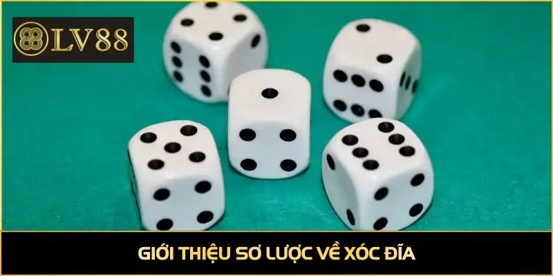 Giới thiệu sơ lược về xóc đĩa